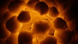 Palava lumilyhty pimeässä